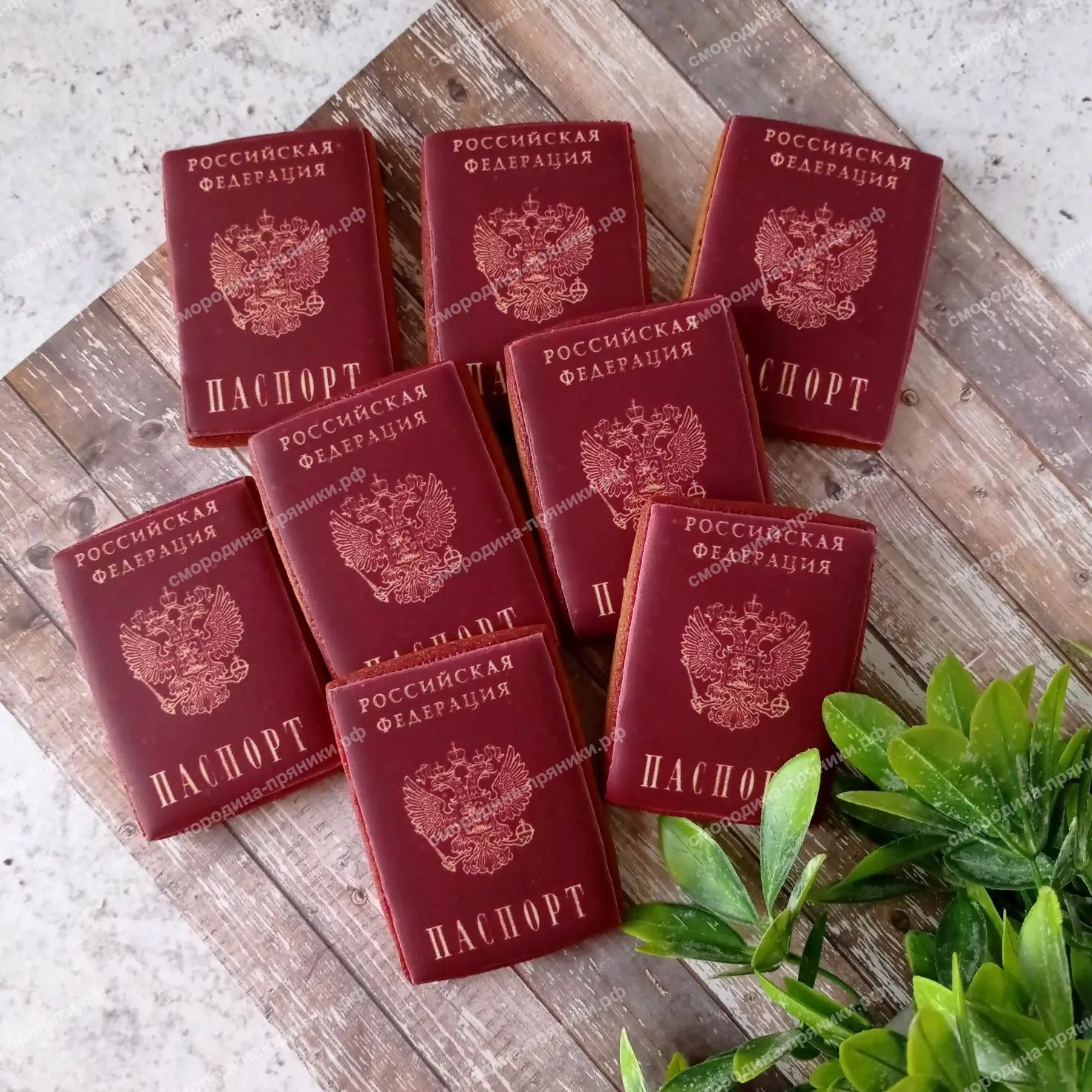 Пряник паспорт